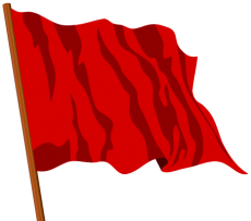 The traditional red socialist flag.